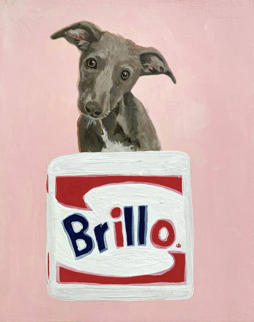 brillo scaled e1664978454892 807x1024 - Adn-chien-peinture -